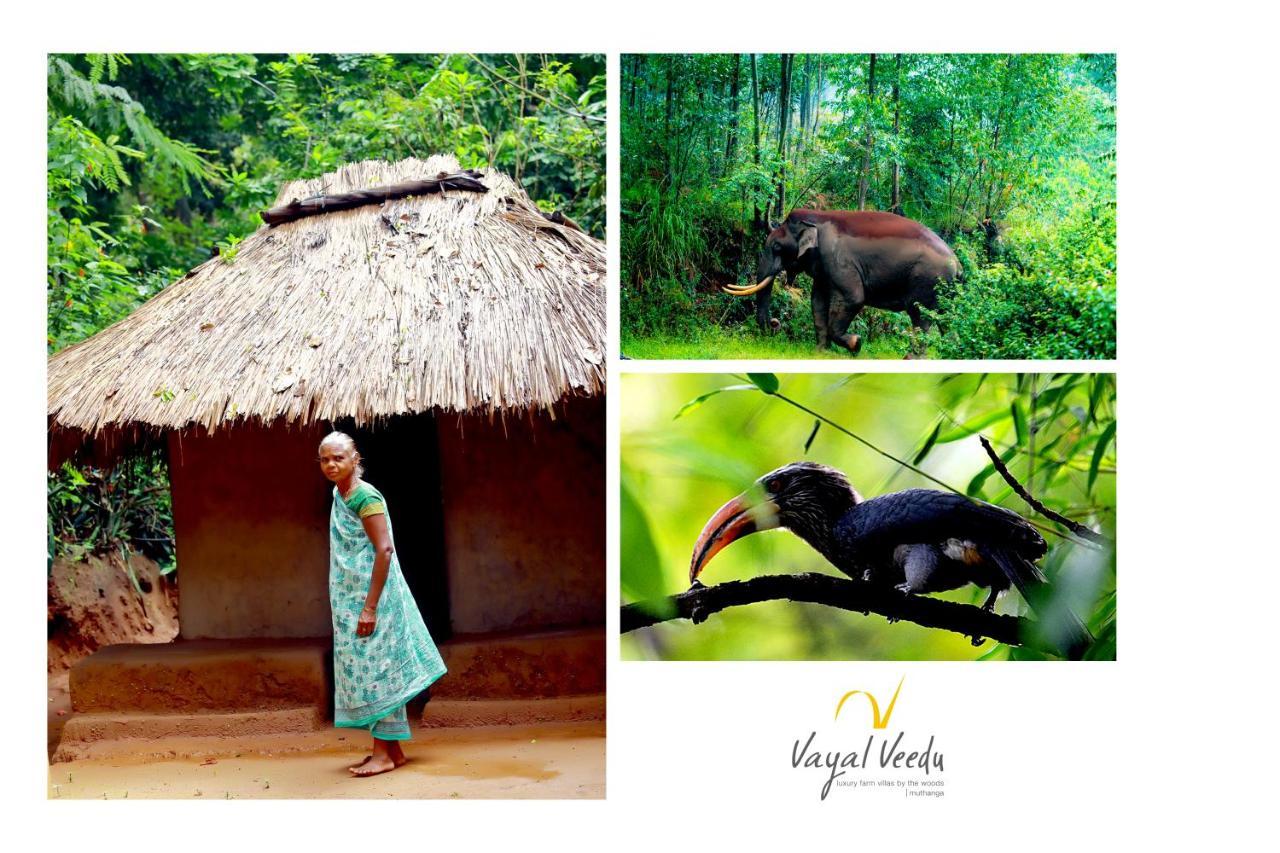 Muthanga Vayal Veedu - Luxury Farm Villas By The Woods מראה חיצוני תמונה